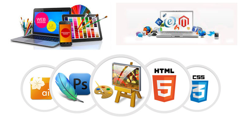Website Designing Services in Delhi